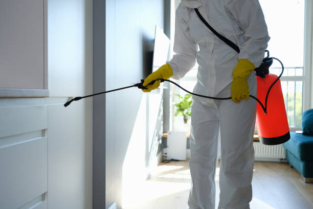 Best Office Mold Removal Services  in Bismarck, ND